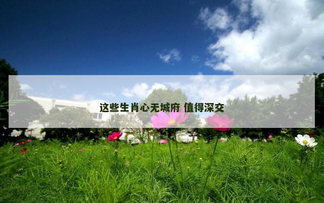 这些生肖心无城府 值得深交