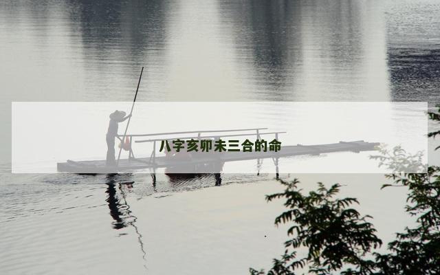 八字亥卯未三合的命