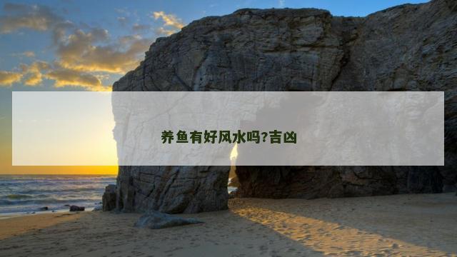 养鱼有好风水吗?吉凶