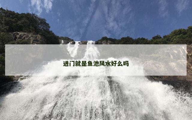 进门就是鱼池风水好么吗