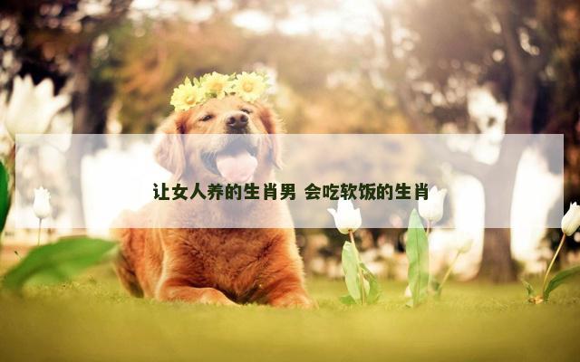 让女人养的生肖男 会吃软饭的生肖
