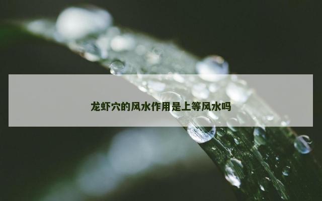 龙虾穴的风水作用是上等风水吗
