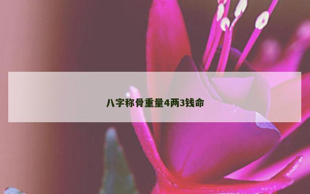 八字称骨重量4两3钱命