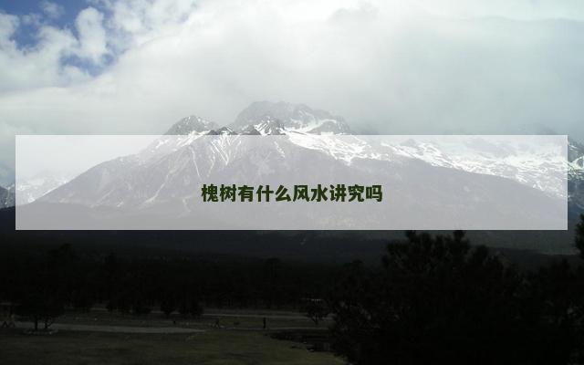 槐树有什么风水讲究吗