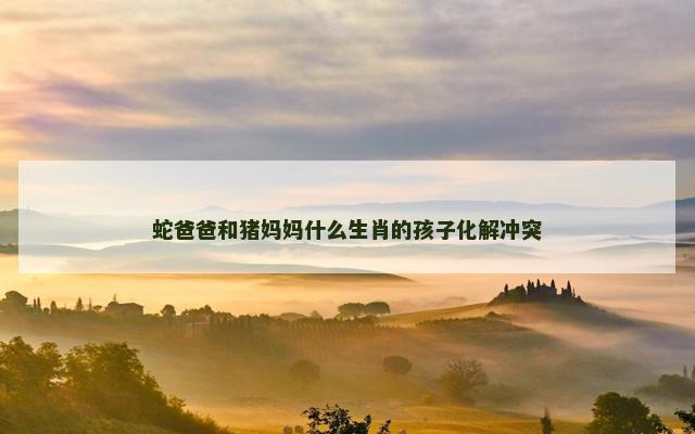 蛇爸爸和猪妈妈什么生肖的孩子化解冲突