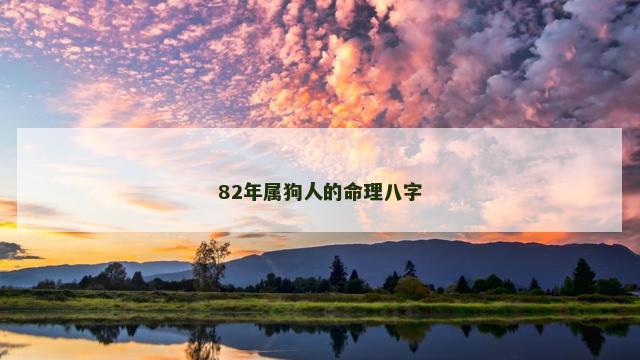 82年属狗人的命理八字