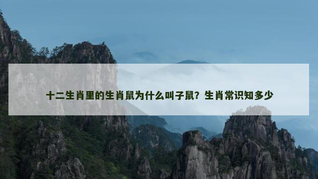 十二生肖里的生肖鼠为什么叫子鼠？生肖常识知多少