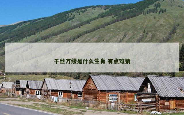 千丝万缕是什么生肖 有点难猜