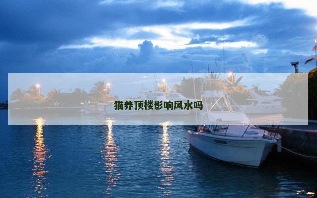 猫养顶楼影响风水吗