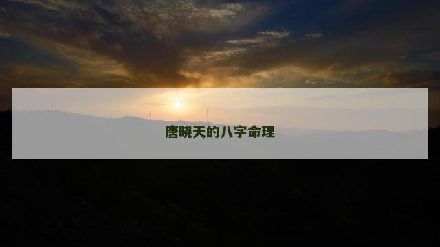 唐晓天的八字命理