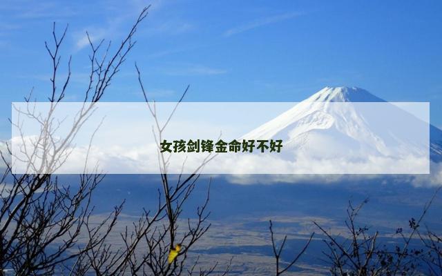 女孩剑锋金命好不好