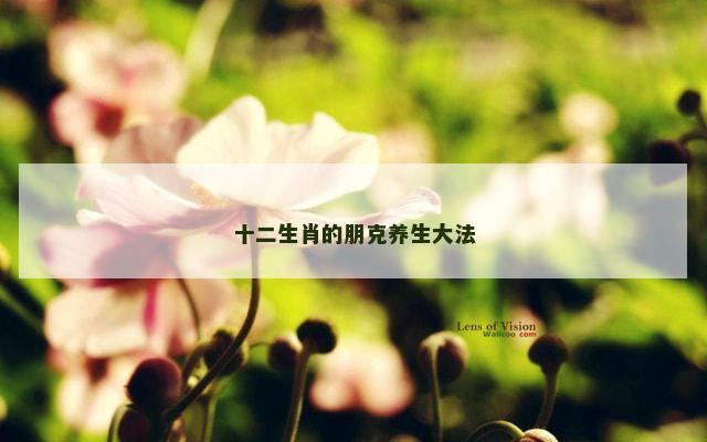 十二生肖的朋克养生大法