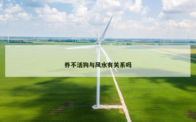养不活狗与风水有关系吗