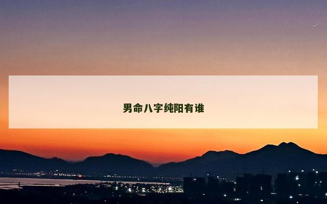 男命八字纯阳有谁