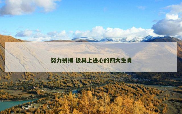 努力拼搏 极具上进心的四大生肖