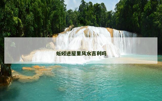蚯蚓进屋里风水吉利吗
