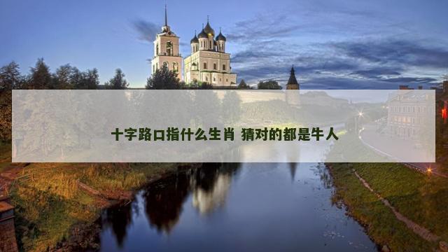十字路口指什么生肖 猜对的都是牛人
