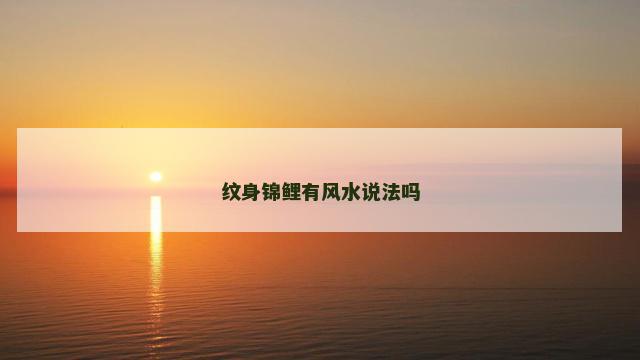 纹身锦鲤有风水说法吗