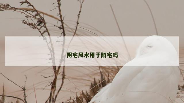 阴宅风水用于阳宅吗