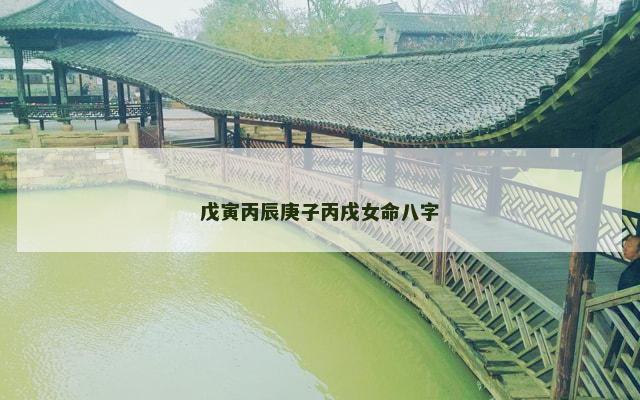 戊寅丙辰庚子丙戌女命八字