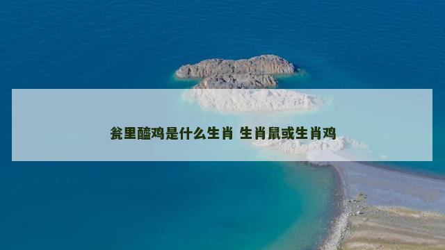 瓮里醯鸡是什么生肖 生肖鼠或生肖鸡