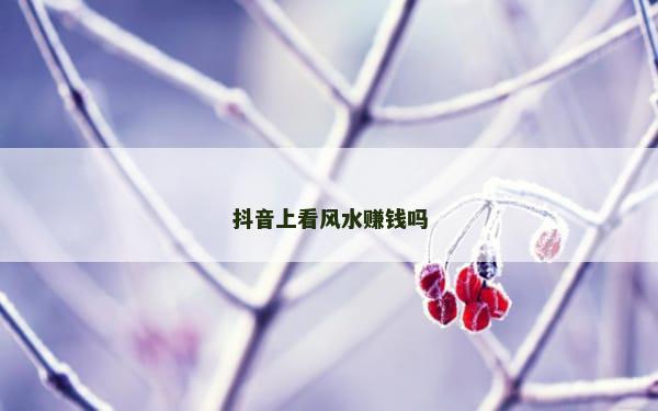 抖音上看风水赚钱吗