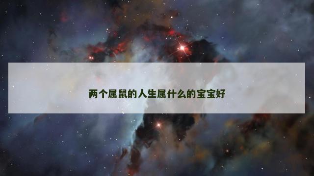 两个属鼠的人生属什么的宝宝好