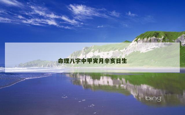 命理八字中甲寅月辛亥日生