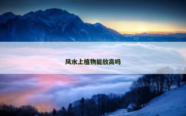 风水上植物能放高吗