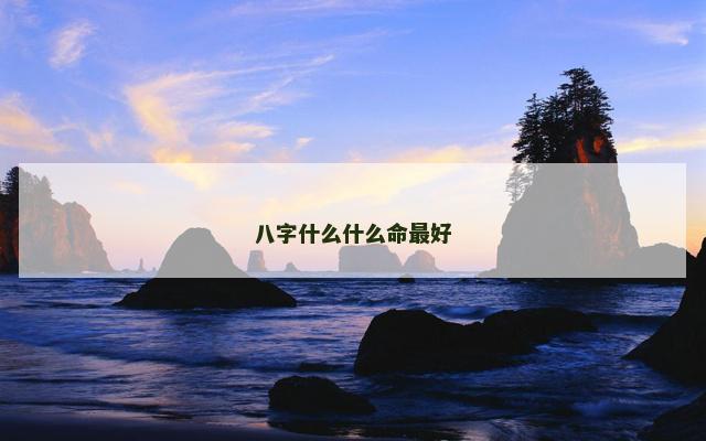 八字什么什么命最好