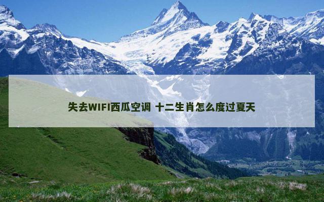 失去WIFI西瓜空调 十二生肖怎么度过夏天