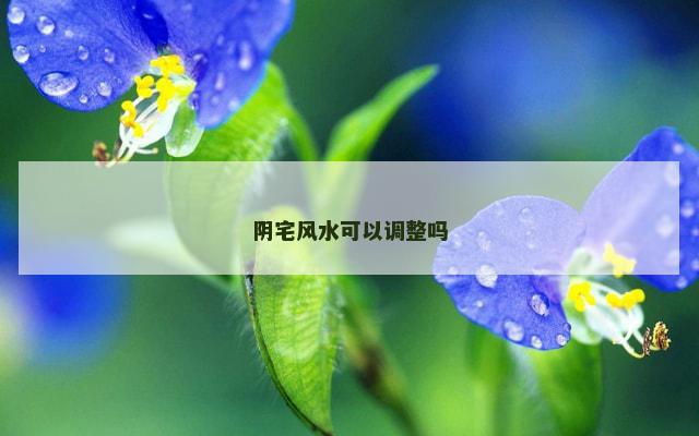 阴宅风水可以调整吗