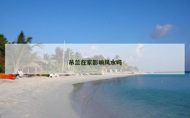 吊兰在家影响风水吗