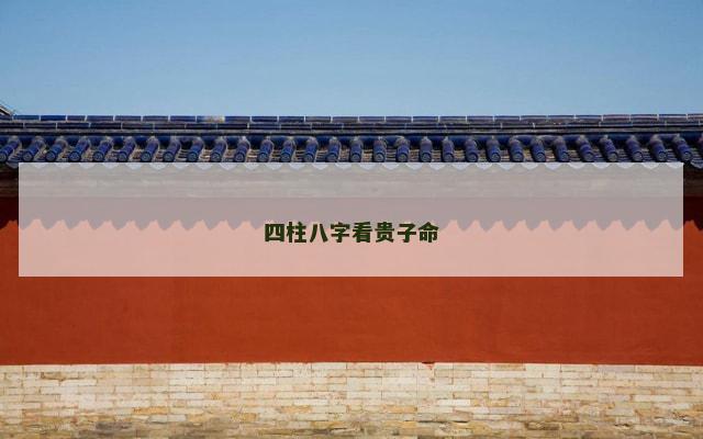 四柱八字看贵子命