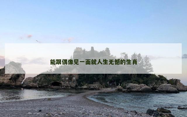 能跟偶像见一面就人生无憾的生肖
