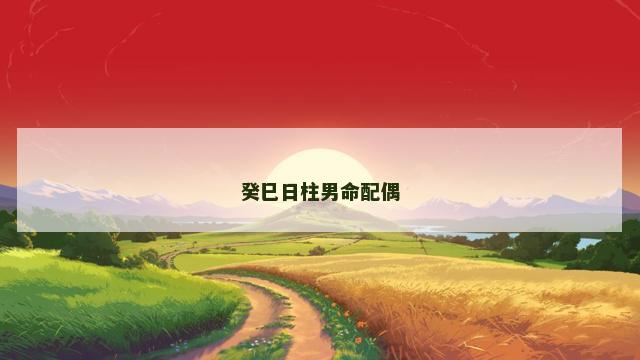 癸巳日柱男命配偶