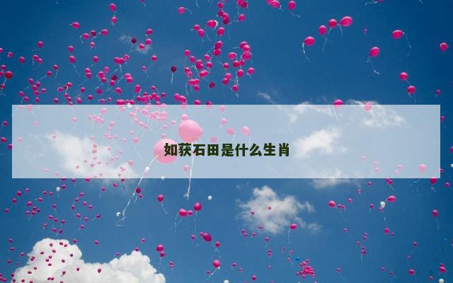 如获石田是什么生肖