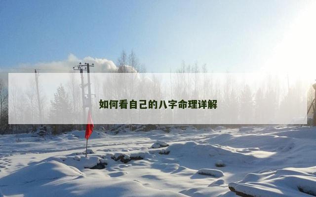 如何看自己的八字命理详解