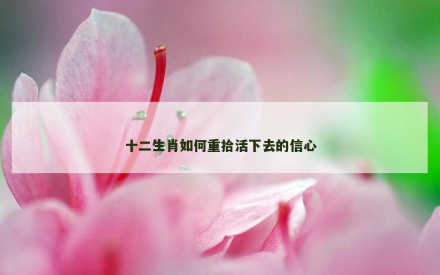 十二生肖如何重拾活下去的信心