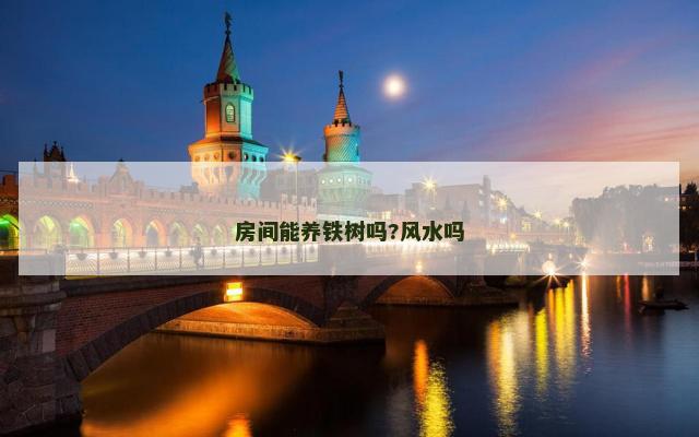房间能养铁树吗?风水吗