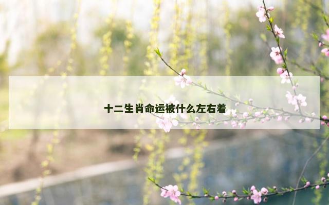 十二生肖命运被什么左右着