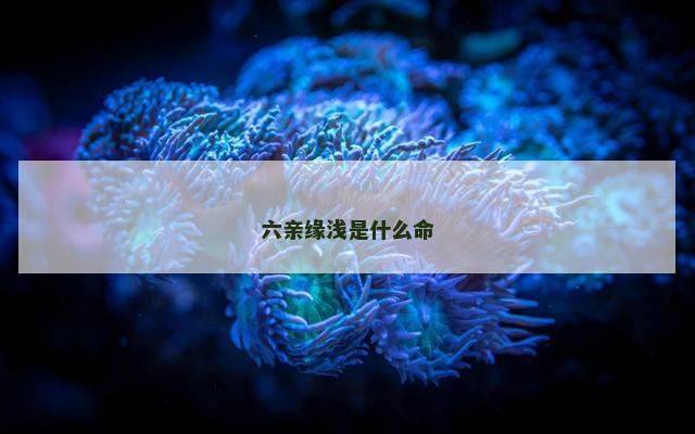 六亲缘浅是什么命