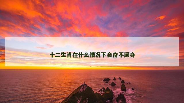 十二生肖在什么情况下会奋不顾身