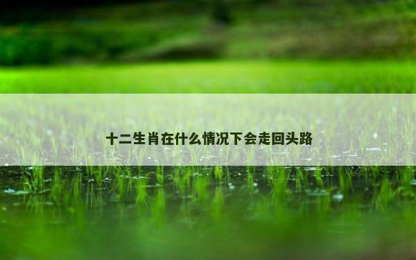 十二生肖在什么情况下会走回头路
