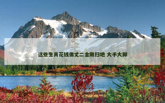 这些生肖花钱像丈二金刚扫地 大手大脚