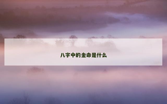 八字中的金命是什么