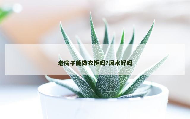 老房子能做衣柜吗?风水好吗
