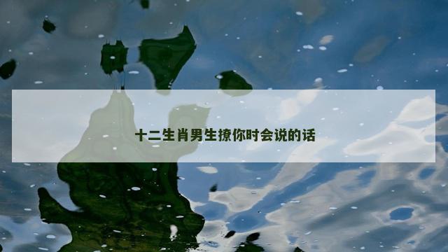 十二生肖男生撩你时会说的话