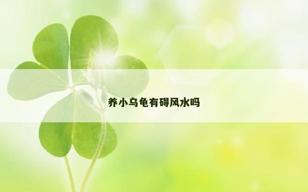 养小乌龟有碍风水吗