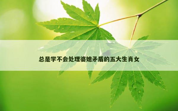 总是学不会处理婆媳矛盾的五大生肖女
